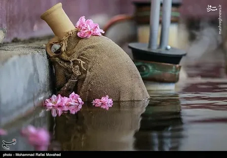 تصویر 1 از خرید عرق گیاهی گلاب + بهترین قیمت